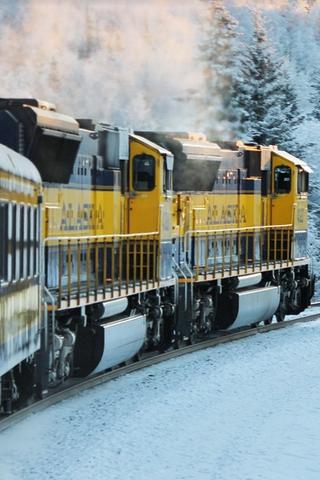 Train in Alaska