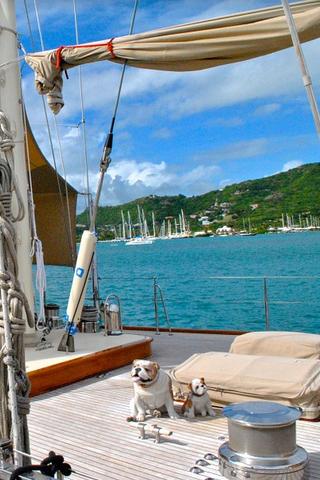 Yacht, Antigua 