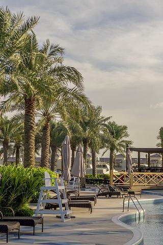 Palm Trees & Pool, Bahrain Palm Trees & Pool, Bahrain