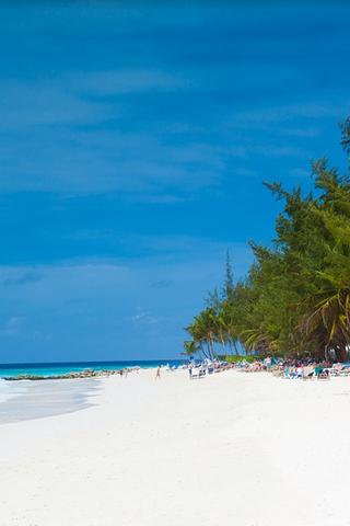 White Sand on Barbados Beach White Sand on Barbados Beach
