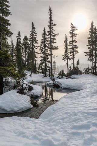 Winter, British Columbia, Canada Winter, British Columbia, Canada