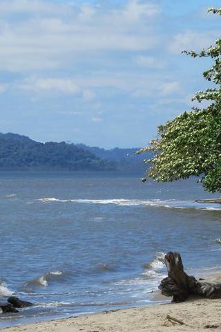 Hills of Equatorial Guinea #philrickwoodpins Hills of Equatorial Guinea
(David Stanley) Flikr