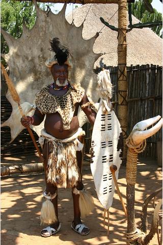 Warrior, Eswatini (Swaziland) 