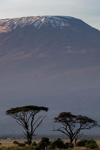 Amboseli National Park, Kenya