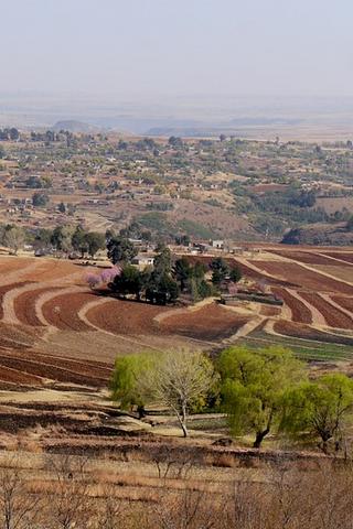 Agriculture, Lesotho